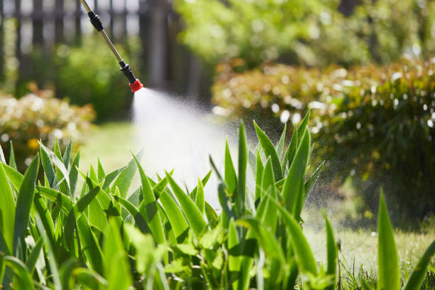 24/7 Emergency Wasp Removal experts in Bayshore, NC