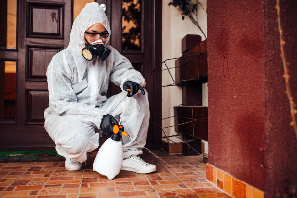 Reliable Wasp Removal contractor in Bayshore, NC by Show Me Pest Control